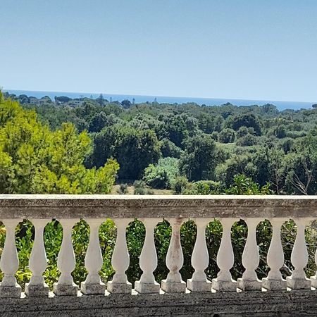 Villa Filomena Montecorice Dış mekan fotoğraf