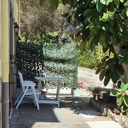 Villa Filomena Montecorice Dış mekan fotoğraf