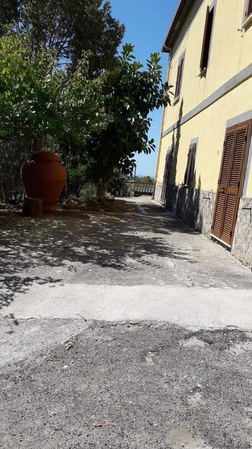 Villa Filomena Montecorice Dış mekan fotoğraf
